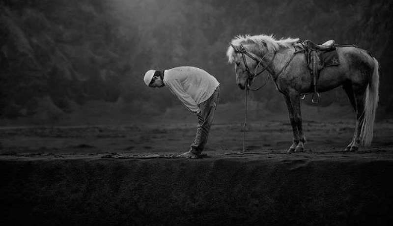 أجمل الصور الفائزة بجائزة سوني لسنة 2015