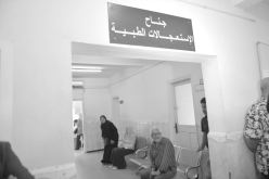 ألف جزائري «يذبحون أيديهم» بدلا من الأضاحي خلال العيد