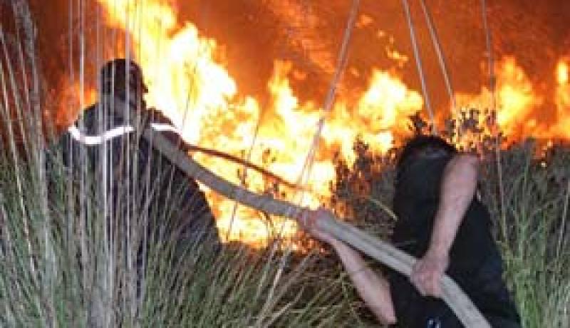 الحرائق تتلف أكثر من 800 هكتار في يوم واحد منها 90 بالمائة لم تخمد بعد