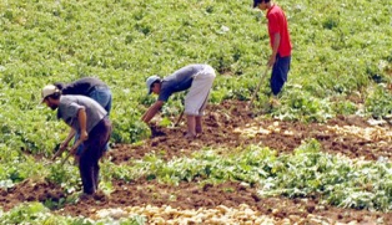 محافظة السهوب تعيد النظر في علاقة الفلاحين والموالين بالمشاريع الفلاحية