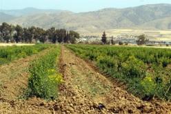 بن عيسى لـ “النهار”: “سنسترجع كافة الأراضي الفلاحية المستغلة بطريقة غير شرعية بقوة القانون”