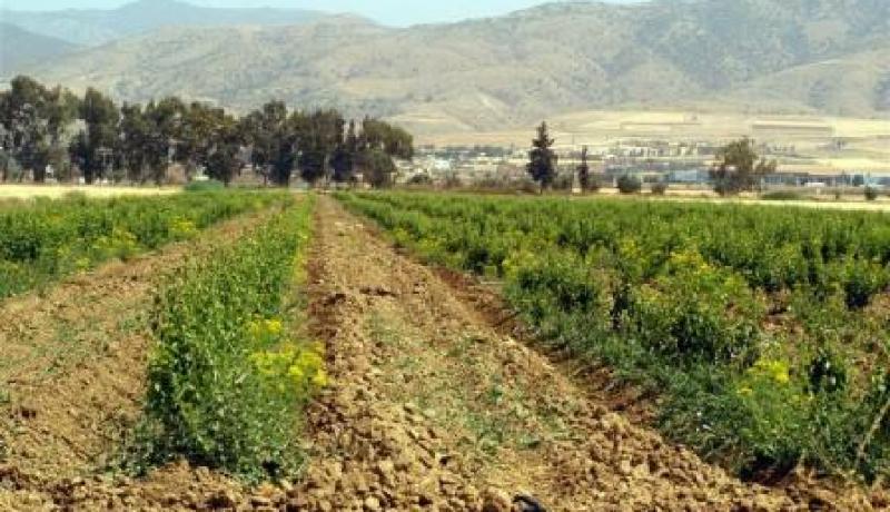 بن عيسى لـ “النهار”: “سنسترجع كافة الأراضي الفلاحية المستغلة بطريقة غير شرعية بقوة القانون”