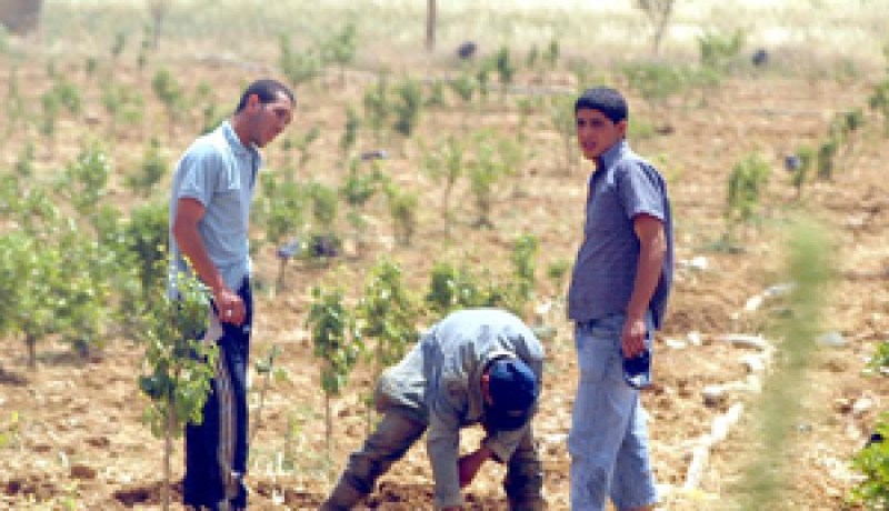 فيما تشهد حراسة مشددة على مياه السقي لسدود ولاية معسكر…فلاحو سهل هبرة وسيڤ متفائلون من حملة السقي