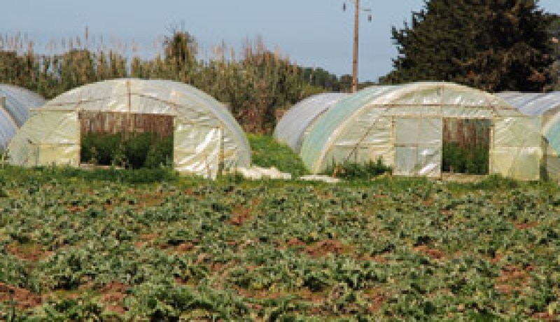 بعد تماطل مديرية الري في تسوية وضعية أراضيهم المستغلة لإنجاز قنوات السقي : سكان ثلاثة دواوير بغليزان يطالبون بمستحقات تعويضهم