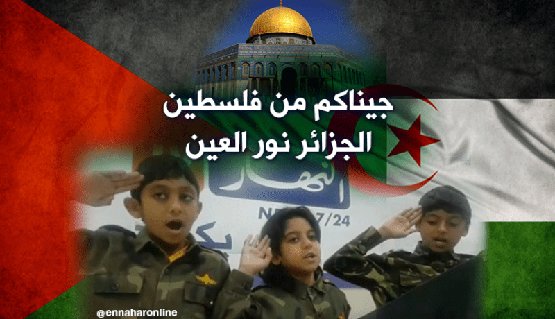 بالفيديو.. أطفال فلسطينيون يوجهون رسالة للجزائريين من مقر النهار