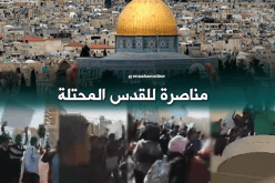 بالفيديو.. احتجاج طلبة جامعة الوادي مناصرة لـ “القدس”