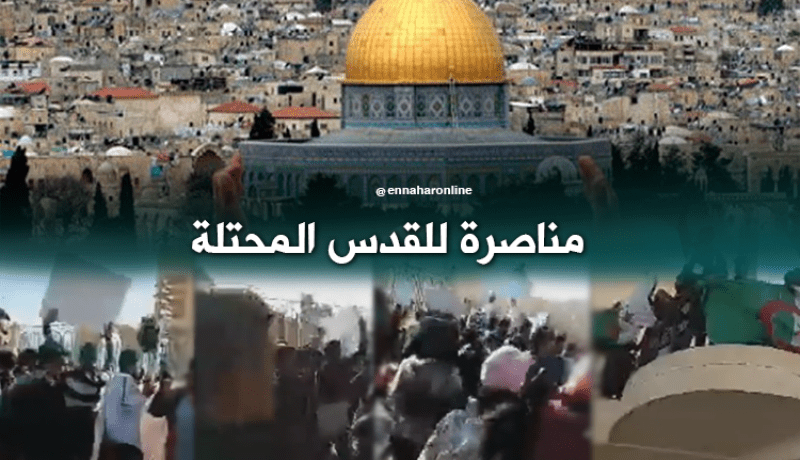 بالفيديو.. احتجاج طلبة جامعة الوادي مناصرة لـ “القدس”