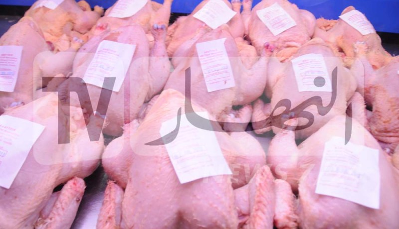 روبايين: مربو الدواجن أفلسوا ..وارتفاع حاد في الأسعار بداية سبتمبر