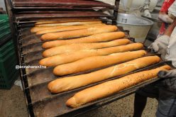 «مزيج خاص بين الفارينة والسميد لإنتاج الخبز لأول مرة»