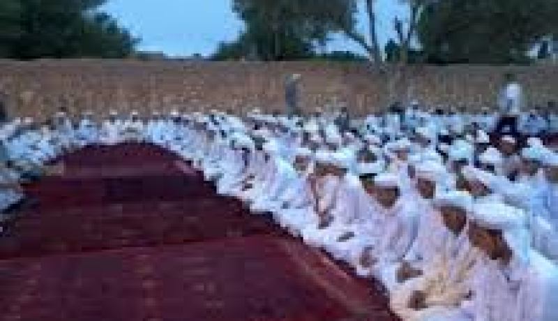 ممثلو الزاوية التيجانية بنيجيريا يشيدون بتجربة الجزائر في ترسيخ المصالحة الوطنية