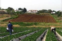 الحكومة اتخذت عدة  تدابير لتنمية الجنوب منذ سنوات