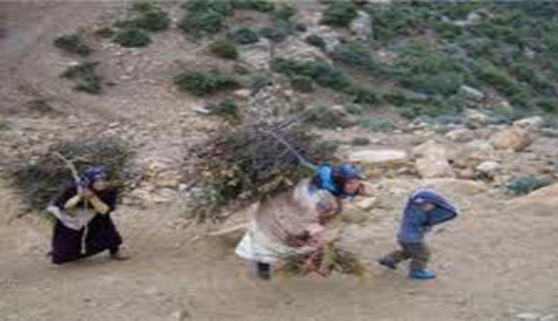سكان قرى النائية في تيزي وزو يستعملون الحطب للتدفئة