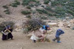 سكان قرى النائية في تيزي وزو يستعملون الحطب للتدفئة
