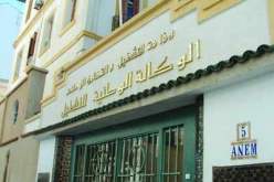 شعلال مديرا عاما للوكالة الوطنية للتشغيل ''ANEM''