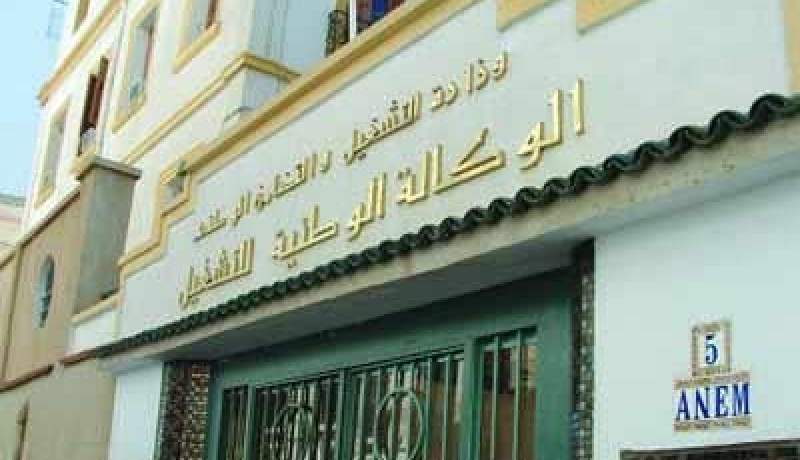 شعلال مديرا عاما للوكالة الوطنية للتشغيل ''ANEM''