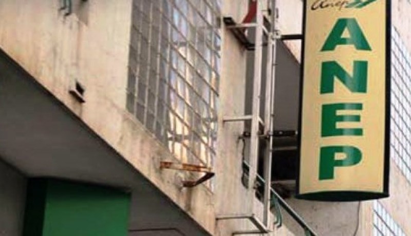 تنصيب جازية جدو مديرة عامة بالنيابة للمؤسسة الوطنية للإتصال والنشر والإشهار