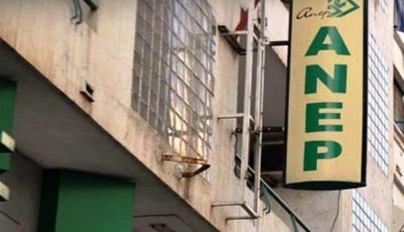 تنصيب عادل قنسوس رئيسا مديرا عاما لـ “ANEP” خلفا للعربي ونوغي