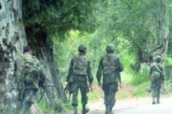 قوات الجيش الوطني الشعبي تلاحق مجوعة إرهابية  بشرشال ولاية تيبازة