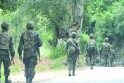 العمليات العسكرية متواصلة جنوب ولاية تيزي وزو