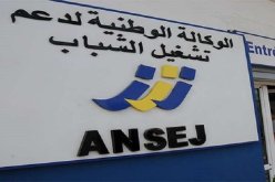 رسميا.. تحويل تسمية وكالة “أنساج” إلى “الوكالة الوطنية لدعم وتنمية المقاولاتية”