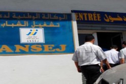 300 ‬مليون سنتيم لحاملي‮ ‬الشهادات لإنشاء مقاولات مصغرة