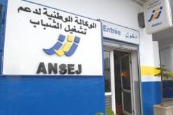ANSEJ تموّل 60 ألف مشروع جديد في 2016