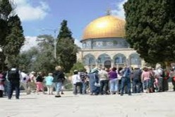 مستوطنون رفقة شرطة الاحتلال يقتحمون المسجد الاقصى