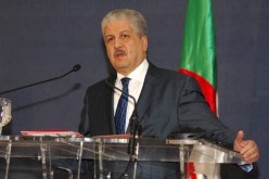 سلال: إفريقيا في حاجة إلى دعم اكثر فعالية من شركائها