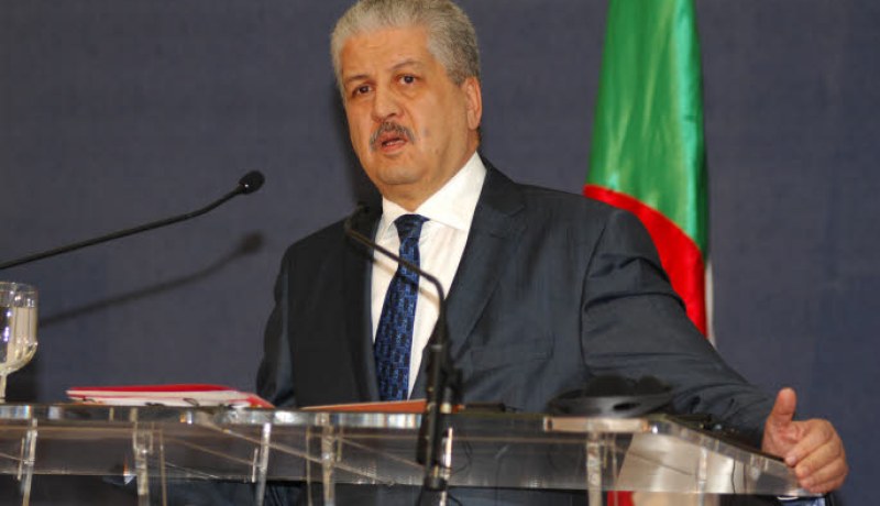 سلال :الفرص المتاحة أمام الشباب الجزائري اليوم لا مثيل لها