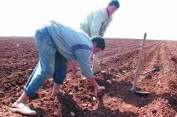 10 ‬سنوات آجال للفلاحين لتسديد ديونهم