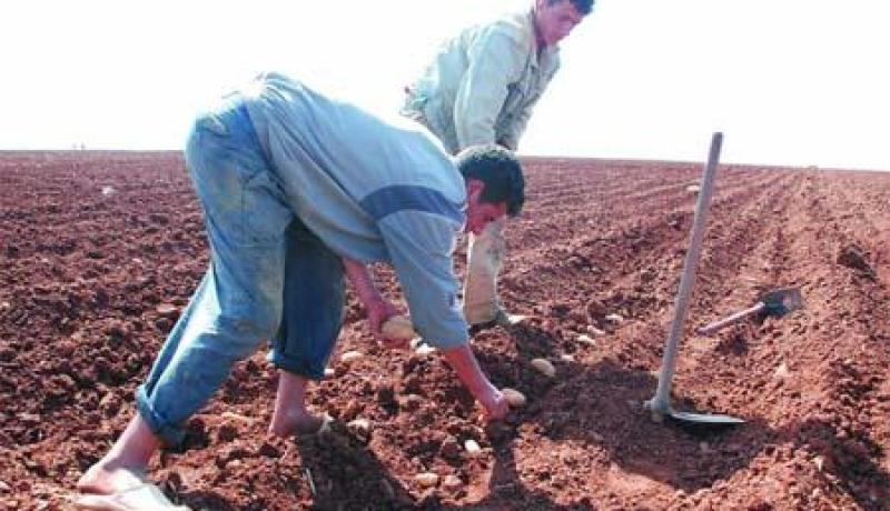 10 سنوات آجال للفلاحين لتسديد ديونهم