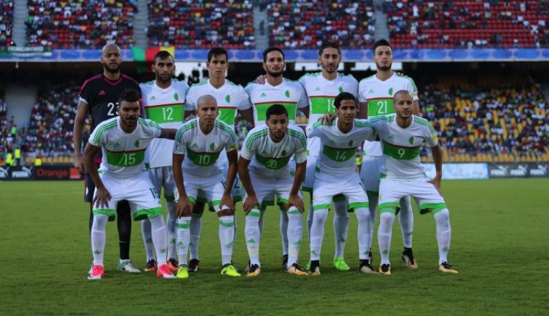 رسميا.. فيغولي ومبولحي يرفضان دعوة رابح ماجر