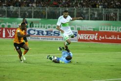 دولي جزائري مطلوب في “نابولي” لتعويض غولام