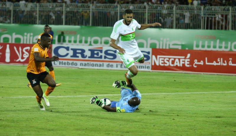 دولي جزائري مطلوب في “نابولي” لتعويض غولام