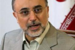 صالحي: خطة عنان هي السبيل الوحيد للخروج من أزمة سورية