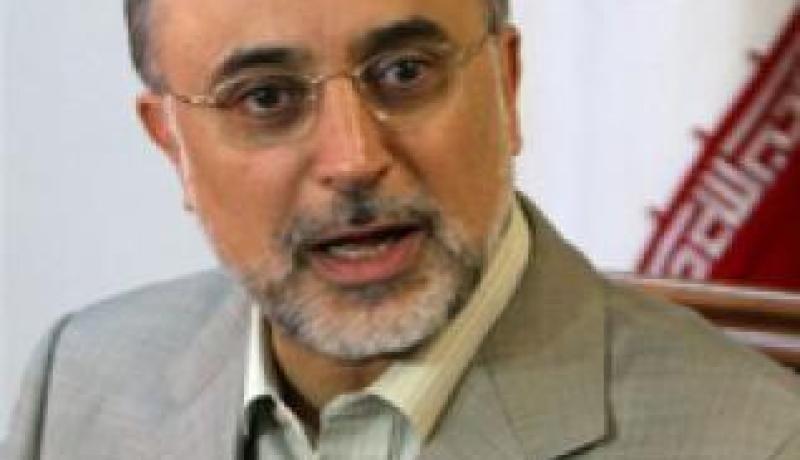 صالحي: خطة عنان هي السبيل الوحيد للخروج من أزمة سورية