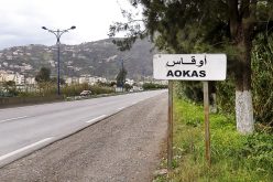 بالصور: انهيار صخري داخل نفق “أوقاس” في بجاية