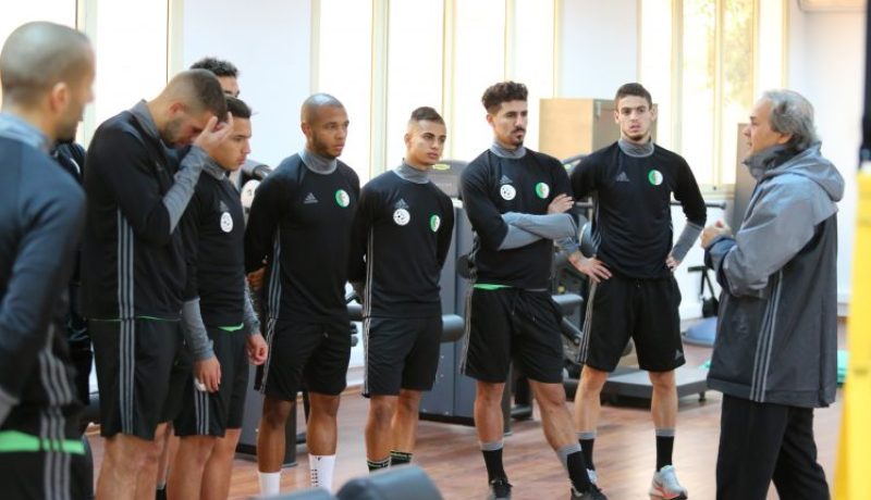 بالصور.. ماجر يبدأ العمل الجاد
