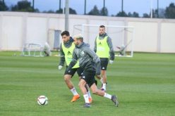 بالصور.. الخضر يُجرون أخر حصة تدريبية قبل السفر للنمسا