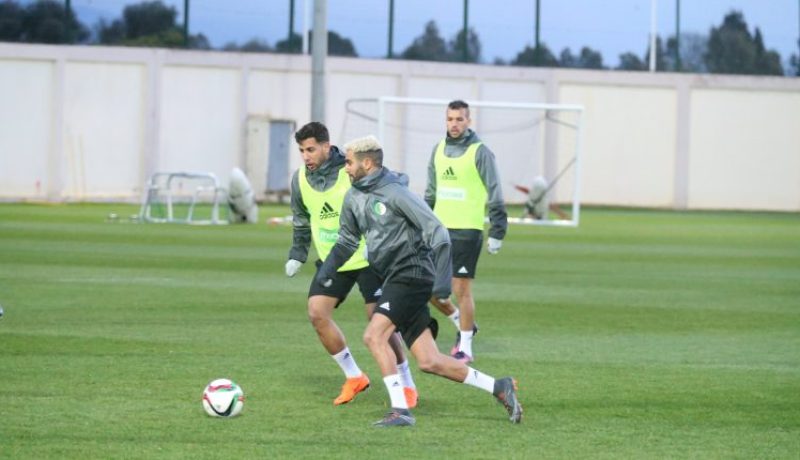 بالصور.. الخضر يُجرون أخر حصة تدريبية قبل السفر للنمسا