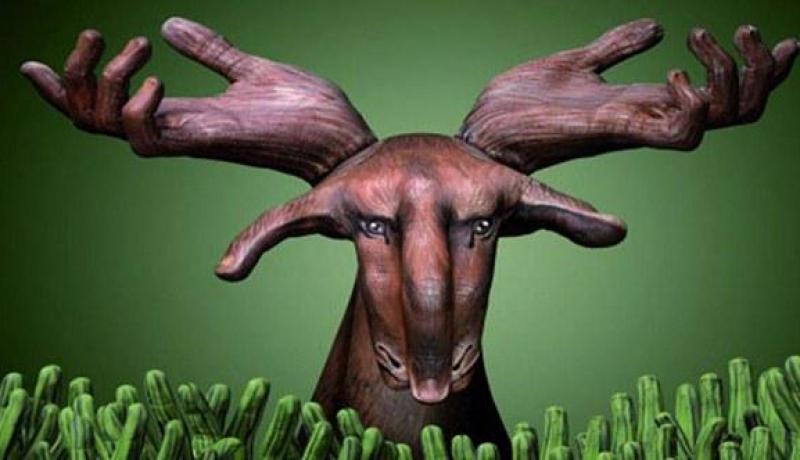 فنان إيطالي غيدو دانييلي يحول الأيدي البشرية إلى حيوانات وطيور حقيقية