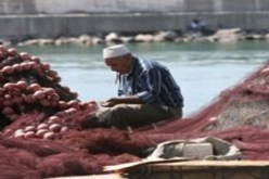 المرسوم المتعلق بتسيير المسامك يوجد حاليا على مستوى الحكومة