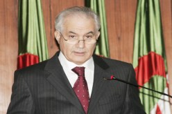 الحكومة تتمسك بنسبة 30 بالمائة في تمثيل المرأة في المجالس المنتخبة