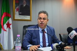 طمار: «إقالة كل مسؤول يتواطأ مع مقاولات الخردة» 