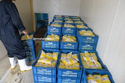 26 موزعـــــا تورطـــــــوا في أزمــــــة الحليــــــب ببومـــرداس