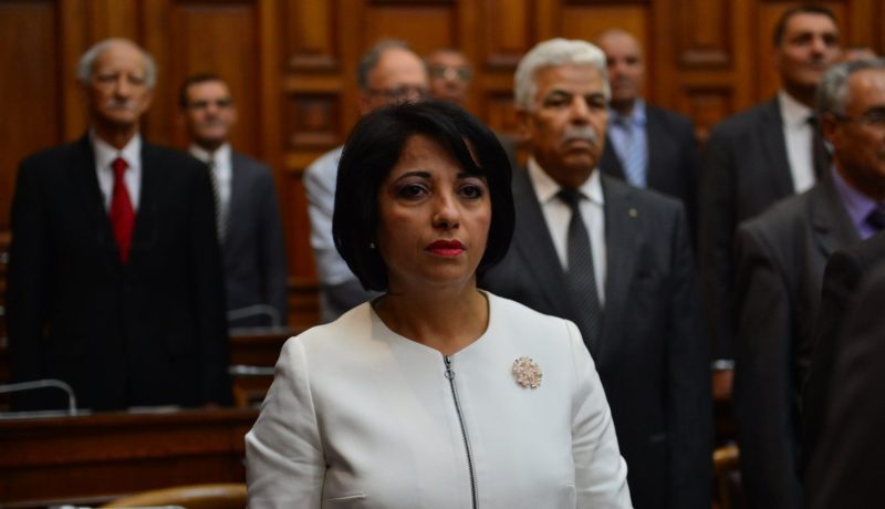 زرواطـي تعيـد تشجـير الغـابـات المحـترقـة  