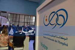 تنصيب أكثر من 448 ألف طالب عمل في إطار “ANEM”