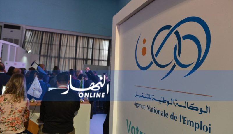 تنصيب أكثر من 448 ألف طالب عمل في إطار “ANEM”