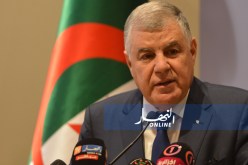 قيطوني: زيارة ولي العهد السعودي للجزائر لاعلاقة لها بأسعار النفط