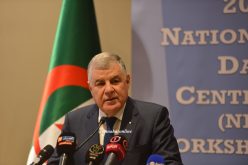 «10 ٪ من السيارات المركبة محليا ستكون بتقنية GPL»